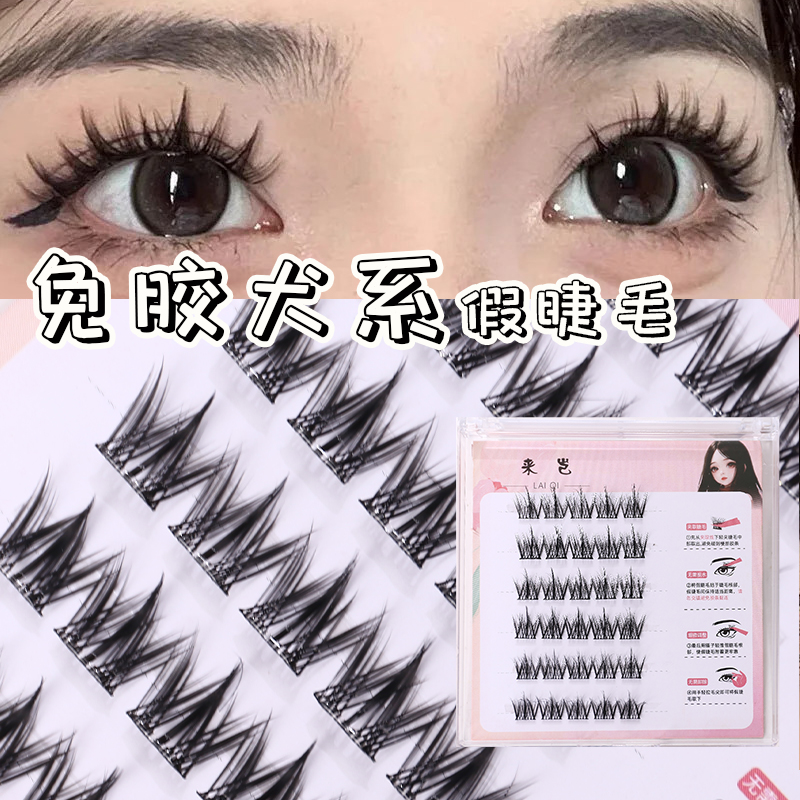 Adhesive free canine false eyelashes